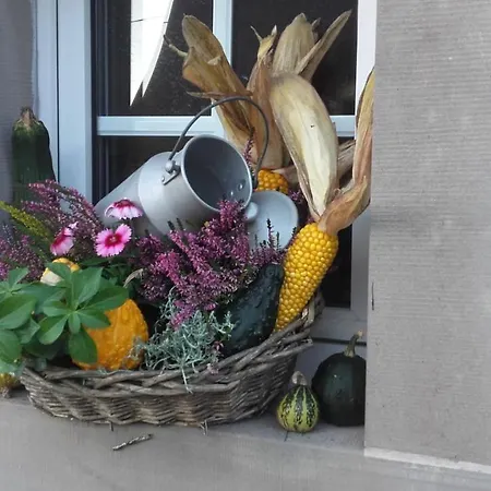 فندق مبيت وإفطار Bim Cathele 3*