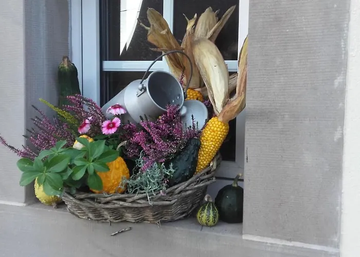 住宿加早餐酒店 Bim Cathele 3*